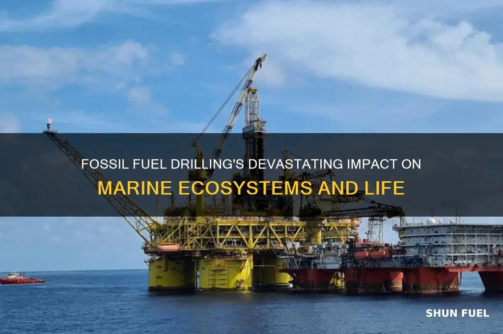 how is sea life affected by fossil fuel drilling