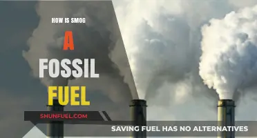 Smog's Dirty Secret: The Fossil Fuel Connection Explained
