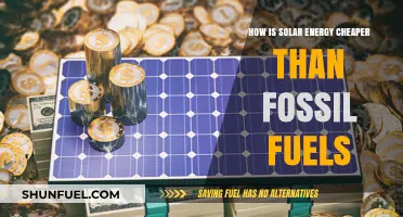Solar Energy vs. Fossil Fuels: Why Clean Power Costs Less