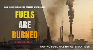 Sulfur Dioxide Emissions: Understanding Fossil Fuel Combustion Process