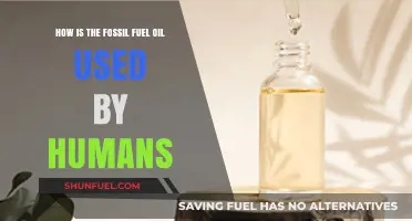 Exploring Humanity's Dependence on Fossil Fuel Oil: Uses and Impacts
