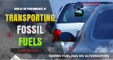 Evaluating the Efficiency and Impact of Fossil Fuel Transportation