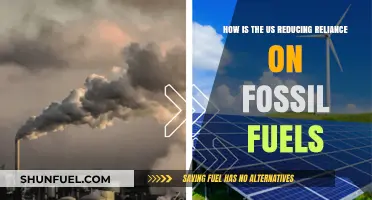 Accelerating Clean Energy: How the US is Reducing Fossil Fuel Dependence