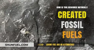 Nature's Ancient Energy: The Natural Formation of Fossil Fuels Explained