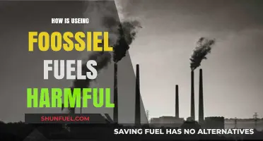 Fossil Fuels' Devastating Impact: Pollution, Climate Change, and Health Risks