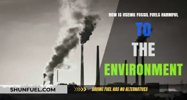Fossil Fuels' Devastating Impact: Environmental Harm and Climate Crisis