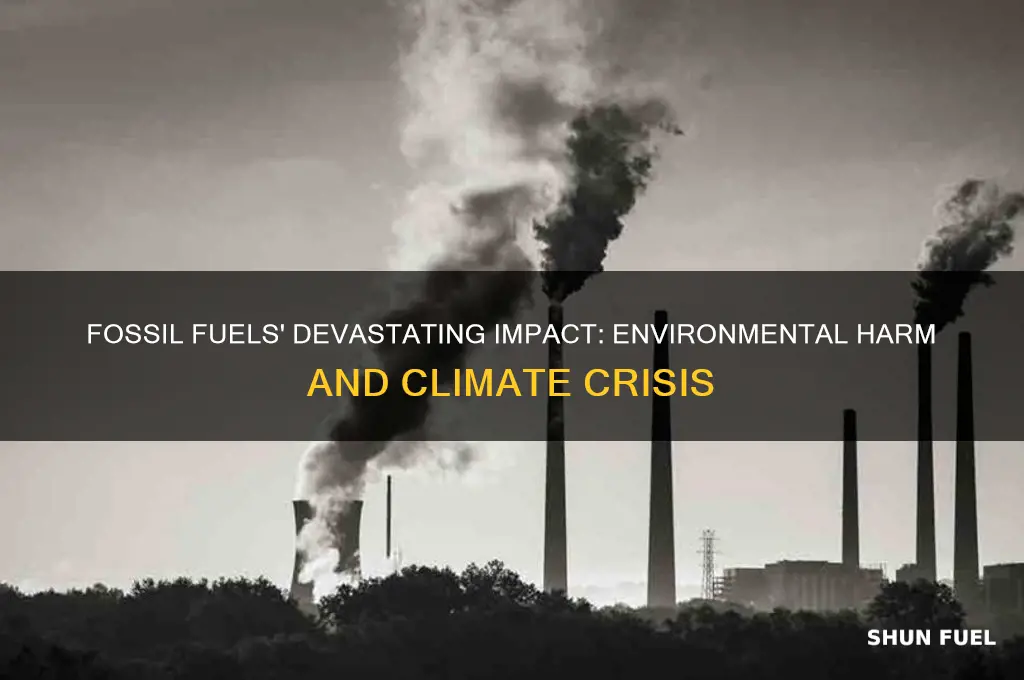how is useing fossil fuels harmful to the environment