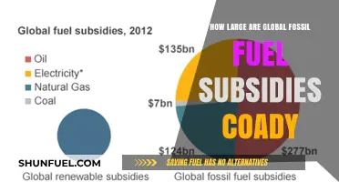 Global Fossil Fuel Subsidies: Uncovering Their Massive Scale and Impact