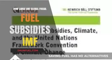 Global Fossil Fuel Subsidies: IMF Reveals Shocking Scale and Impact