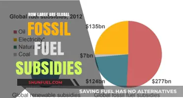 Global Fossil Fuel Subsidies: Uncovering Their Massive Scale and Impact