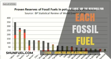 Global Fossil Fuel Reserves: Sizes and Sustainability Concerns Explored
