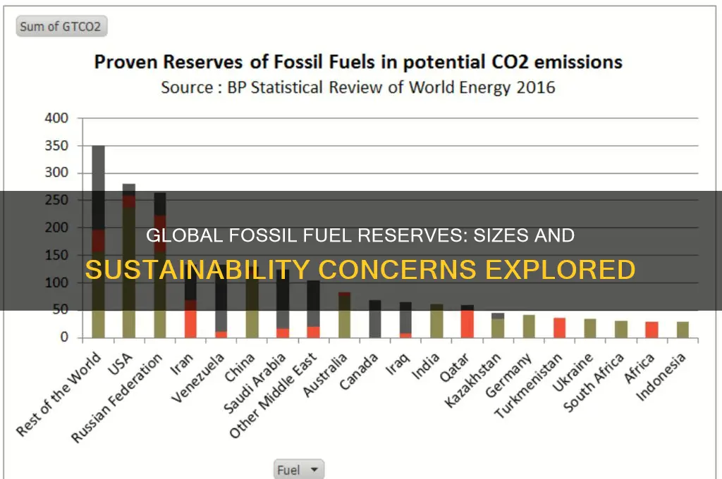 how large are the reserves for each fossil fuel