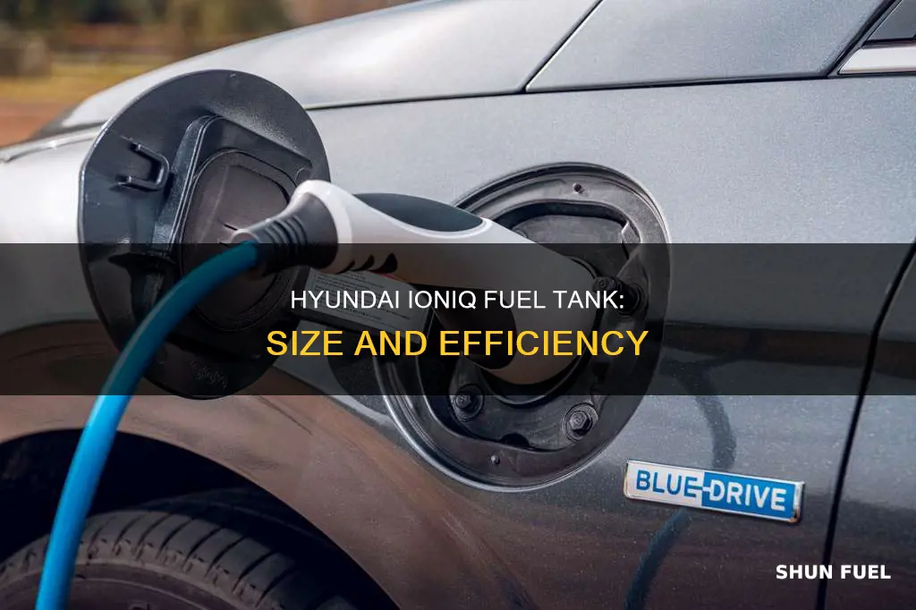 how large is a hyundai ioniq fuel tank