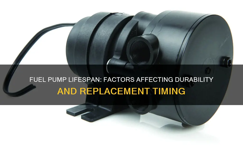 how long a fuel pump last