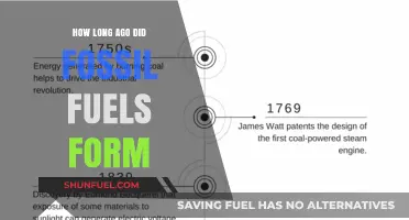 Unveiling the Ancient Origins of Fossil Fuels: A Timeline