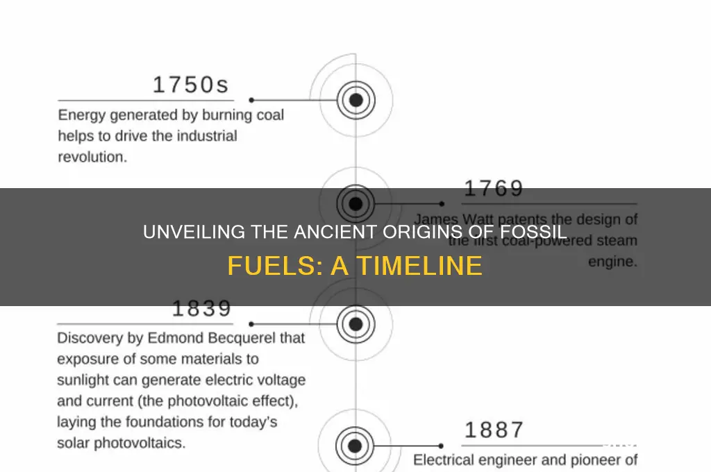 how long ago did fossil fuels form