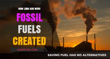 The Ancient Origins of Fossil Fuels
