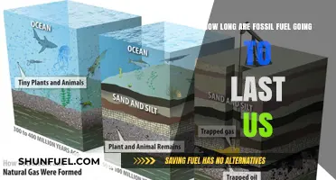 Fossil Fuels' Countdown: Estimating the Remaining Lifespan of Our Energy Source
