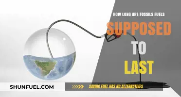 Fossil Fuels Countdown: Predicting the End of Our Energy Reserves