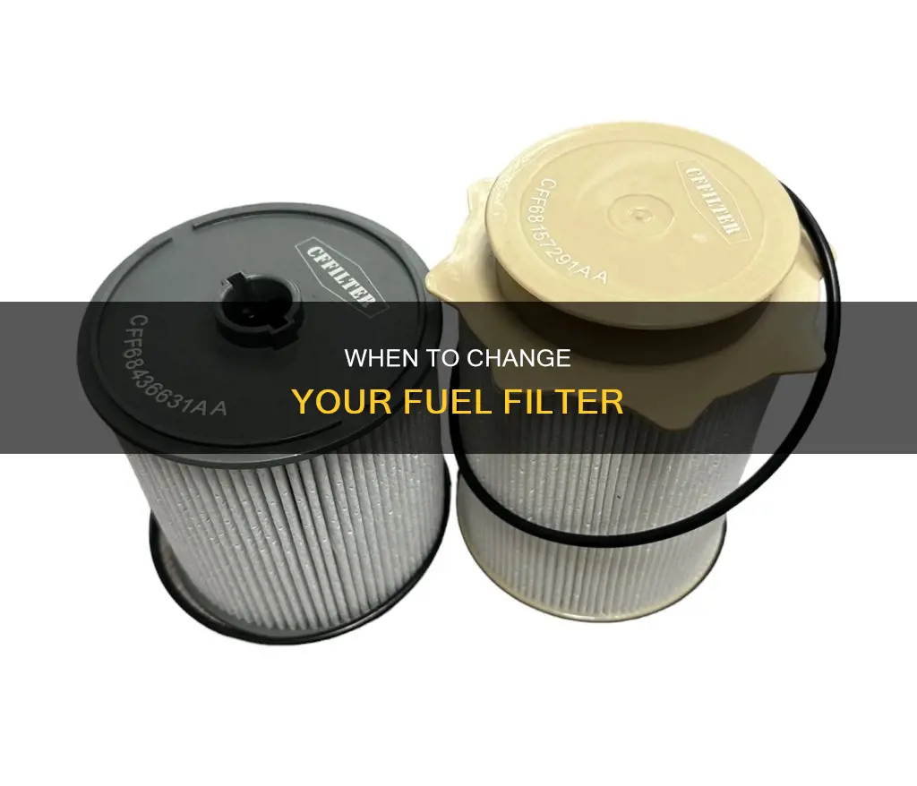 how long before changing fuel filter