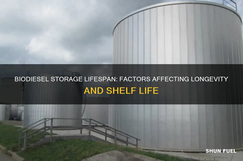 how long can biodiesel fuel be stored