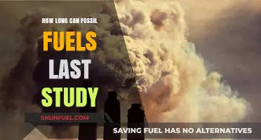 Fossil Fuels Depletion Timeline: Insights from Recent Longevity Studies