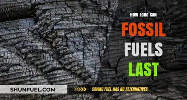 Fossil Fuels' Finite Future: Estimating Remaining Reserves and Sustainability