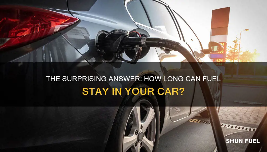 how long can fuel sit in a car