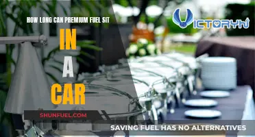 Premium Fuel: How Long Can It Sit in Your Car?