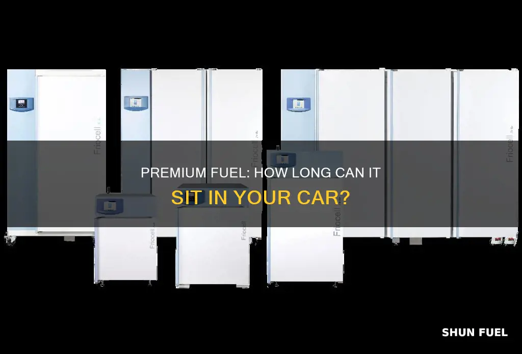 how long can premium fuel sit in a car
