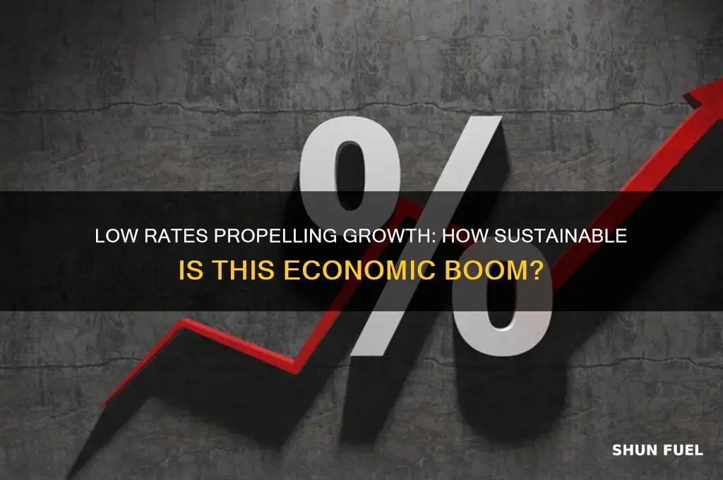 how long can this economy be fueled by low rates