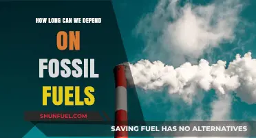 Fossil Fuels' Finite Future: How Long Can We Depend?