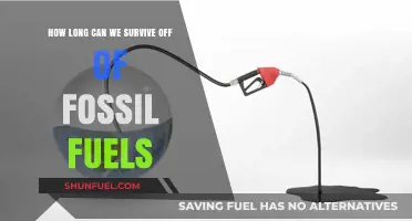 Fossil Fuels' Finite Future: How Long Can Humanity Sustain?