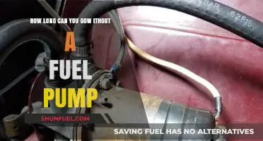 Surviving Without a Fuel Pump: How Long Can Your Vehicle Last?