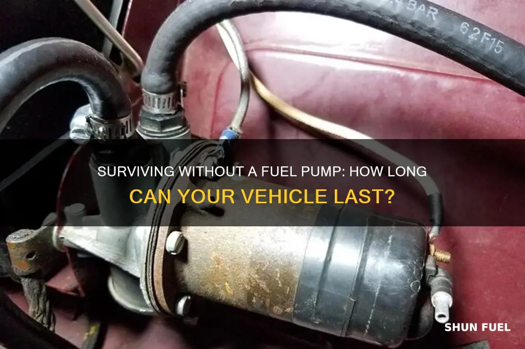 how long can you gow ithout a fuel pump