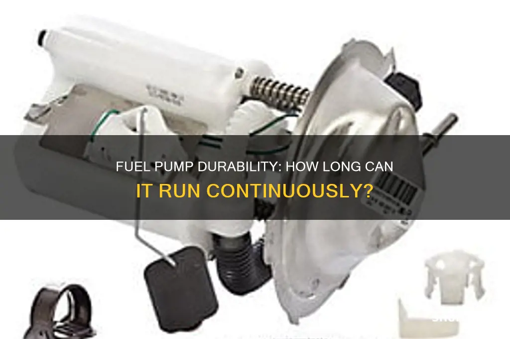 how long can you run a fuel pump on for