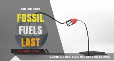 Fossil Fuels' Finite Future: Predicting the Depletion Timeline