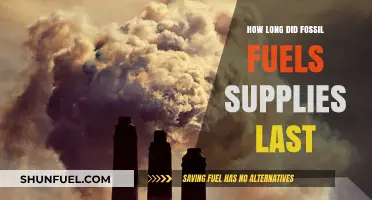 Fossil Fuels: How Long Did Our Energy Supplies Last?