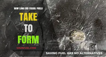 The Ancient Journey of Fossil Fuels: Formation Time Explained