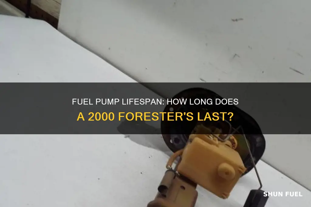 how long do 2000 forester fuel pumps last