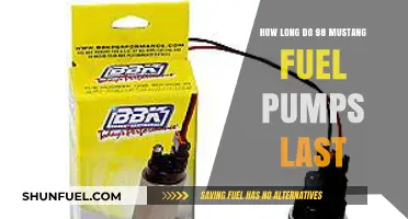 Mustang Fuel Pump Lifespan: Durability and Replacement Tips for 98 Models