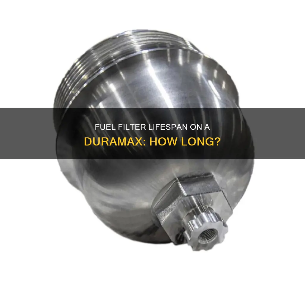 how long do a fuel filter last on a duramax