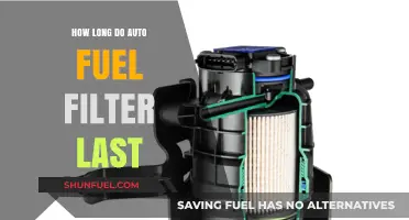 The Lifespan of Auto Fuel Filters: How Long Do They Last?