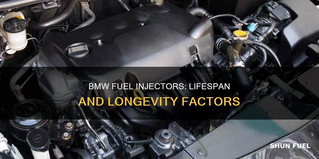 how long do bmw fuel injectors last