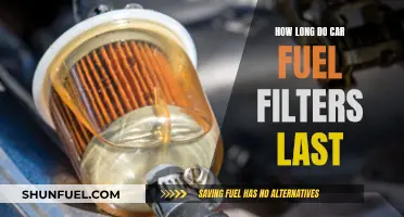 Maximizing Fuel Filter Lifespan: Tips for Long-Lasting Performance