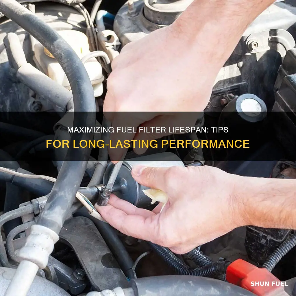 how long do car fuel filters last