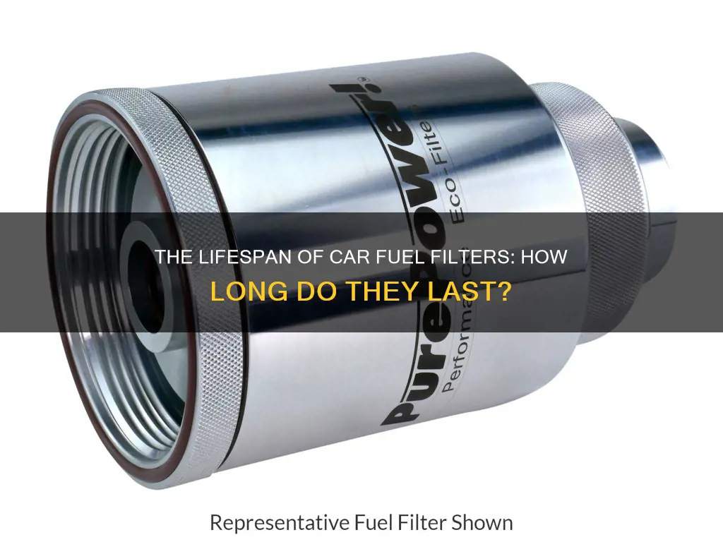 how long do car fuel filters last