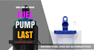 Cheap Fuel Pump Lifespan: How Long Can You Expect It to Last?