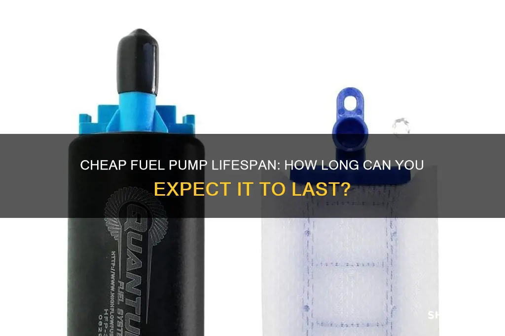 how long do cheap fuel pump last