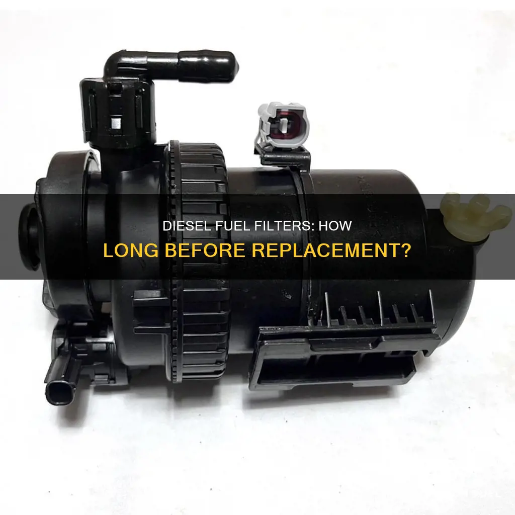 how long do diesel fuel filters last